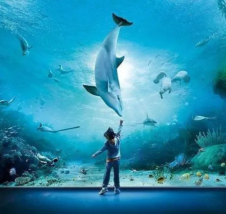 La Maison Di Francesco