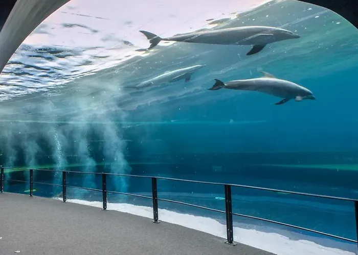 Apartmán La Maison Di Francesco Janov