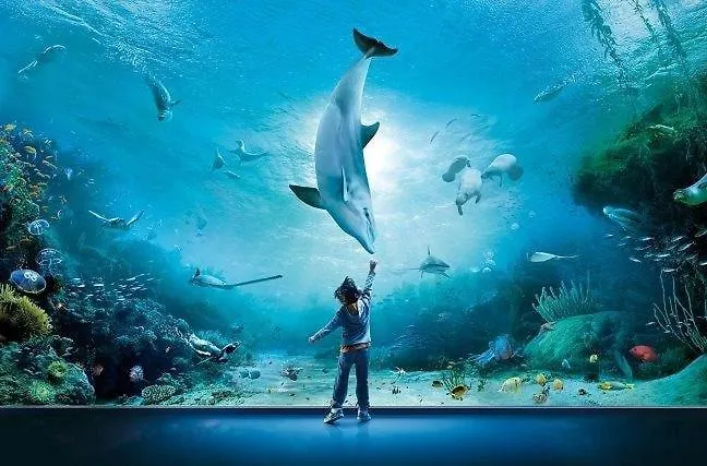 La Maison Di Francesco